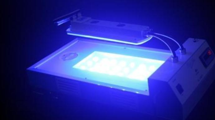 Phototherapy Unit / Blue Light